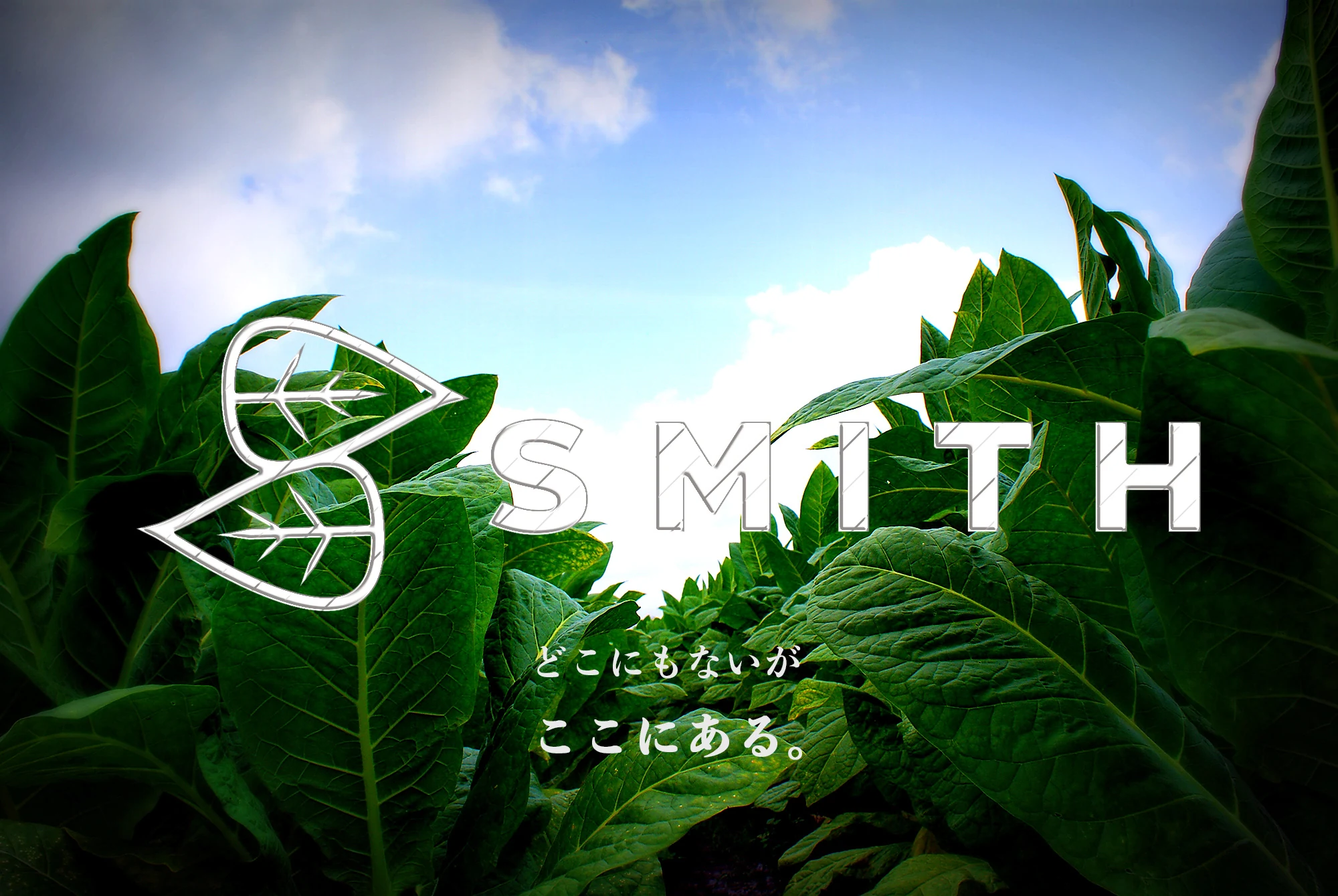 青空の下に広がるタバコ畑。SMITHのロゴと『どこにもないが、ここにある。』のコピー