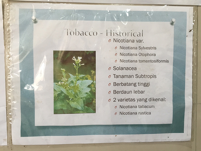 インドネシアにあるタバコ研究所へ訪問しました